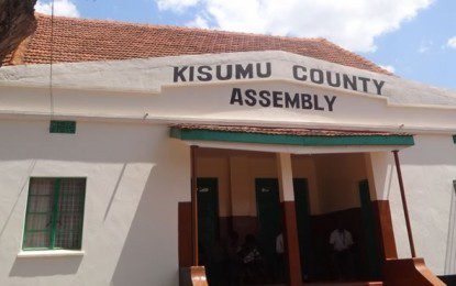 NDOLO AS NEW MINORITY LEADER UNCONSTITUTIONAL